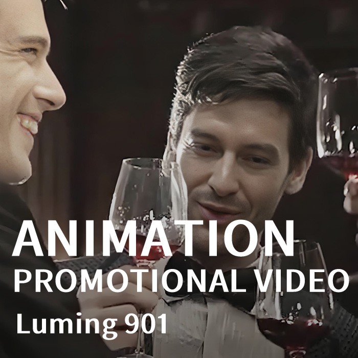 luming  901 Promotional video